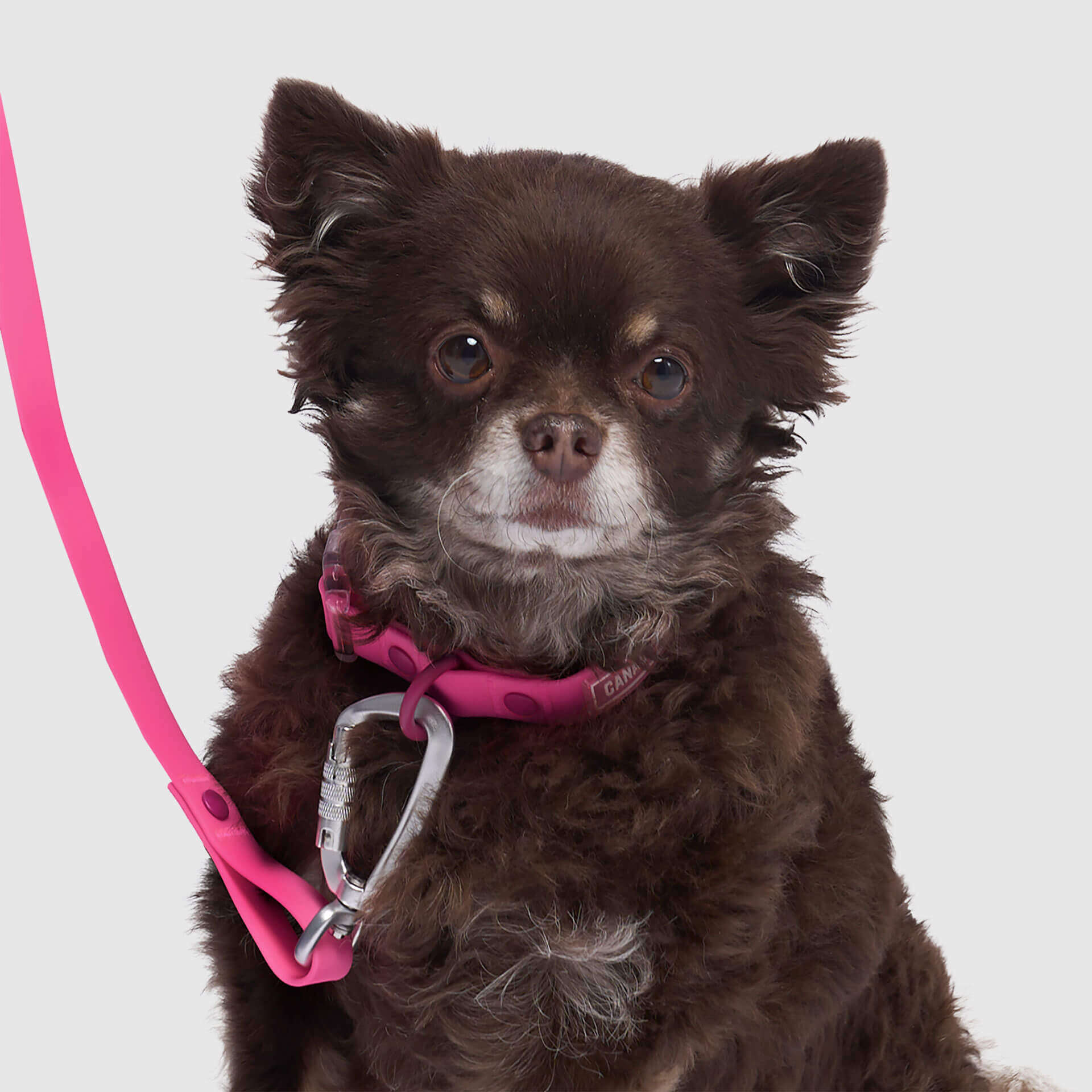 Waterproof Collar - Image 17