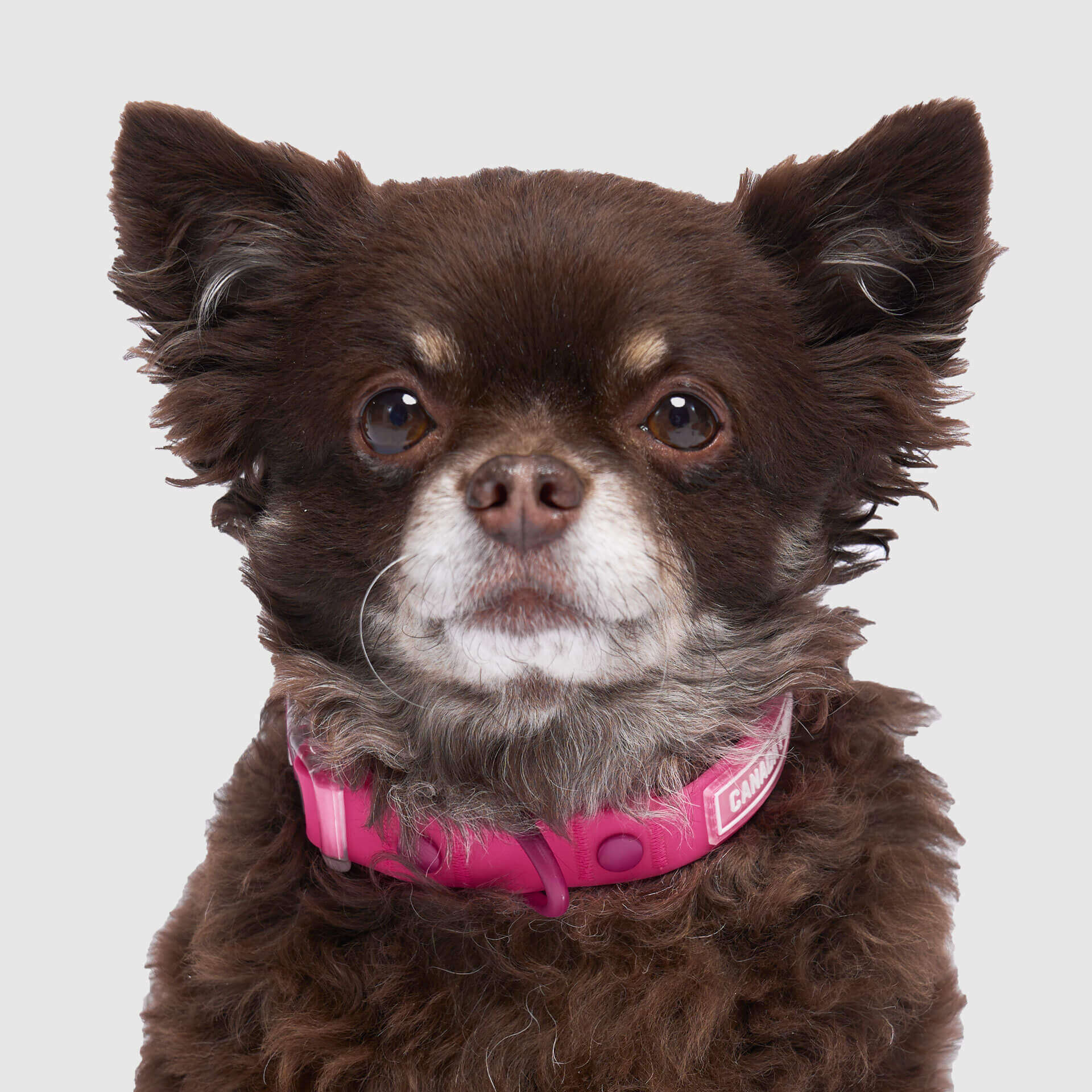 Waterproof Collar - Image 18