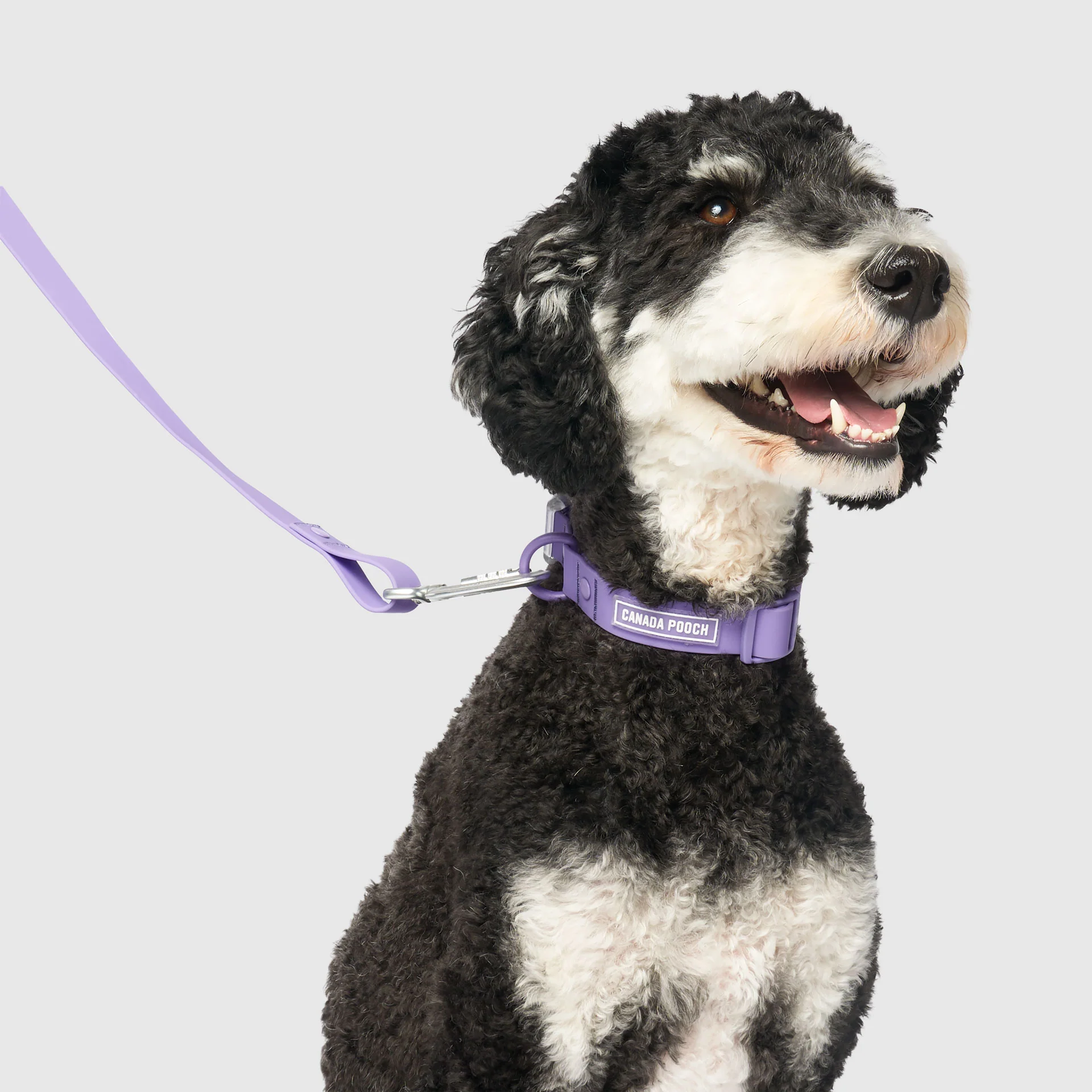Waterproof Collar - Image 20