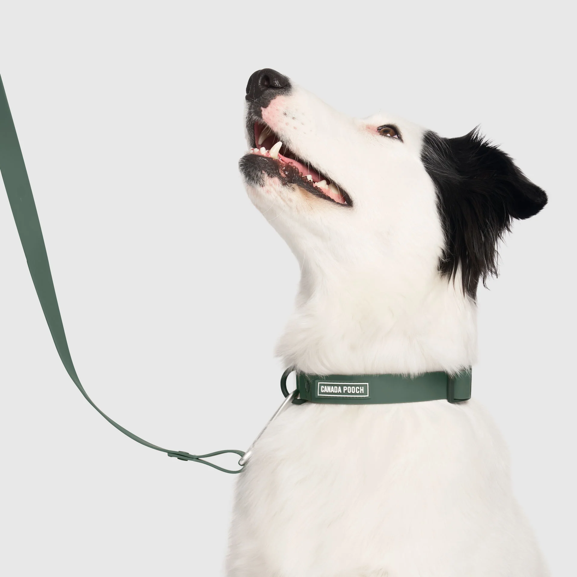 Waterproof Collar - Image 6
