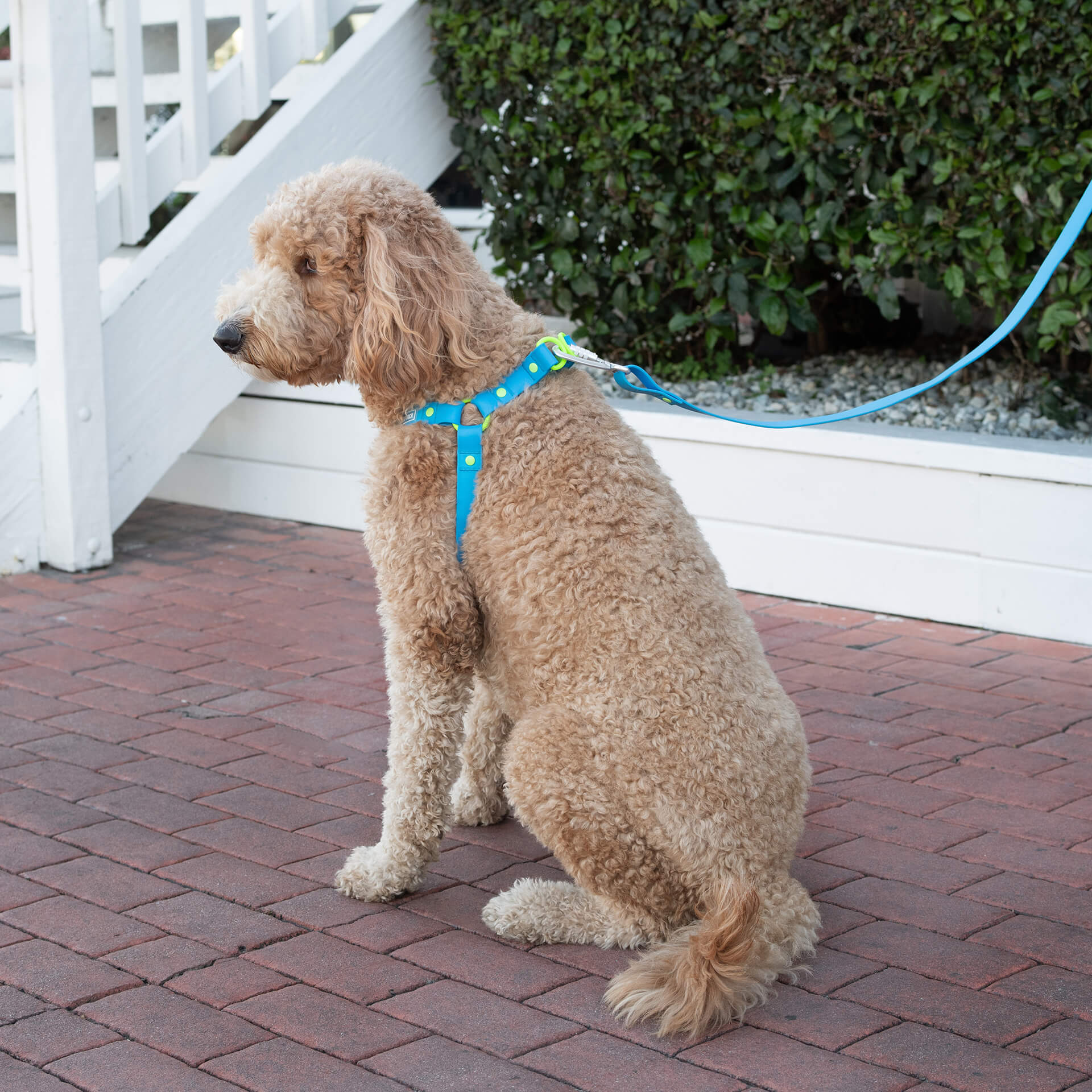 Waterproof Harness - Image 15