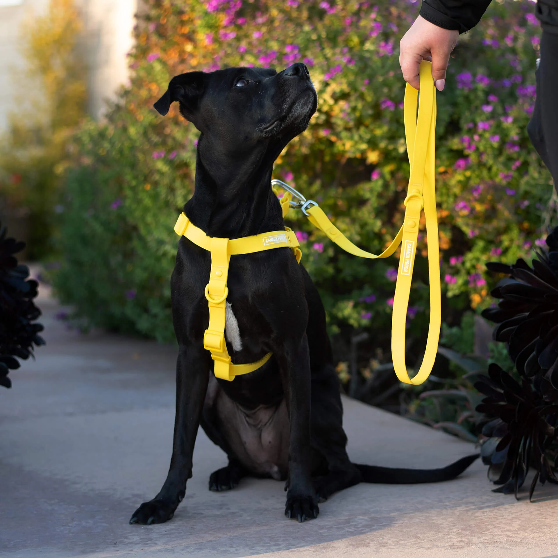 Waterproof Harness - Image 4