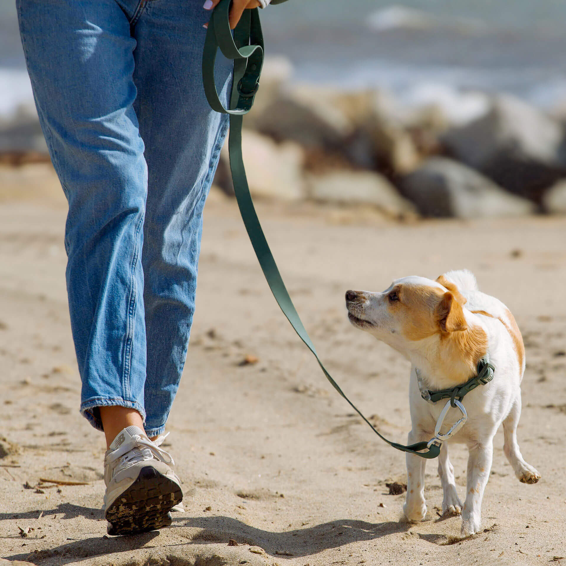 Waterproof Leash - Image 10