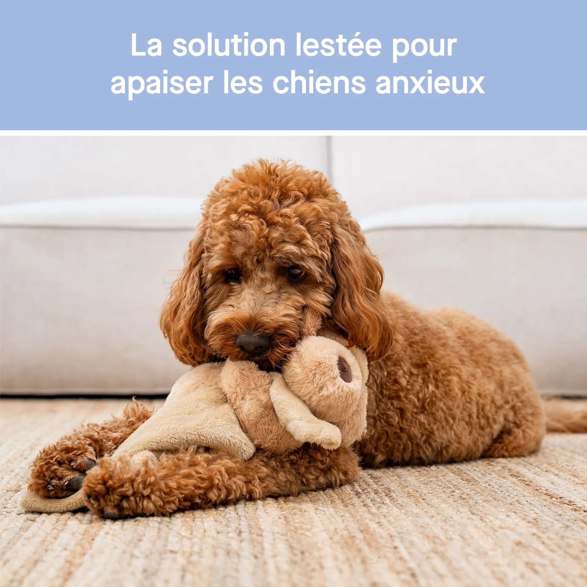 Weighted Calming Toy - Image 14
