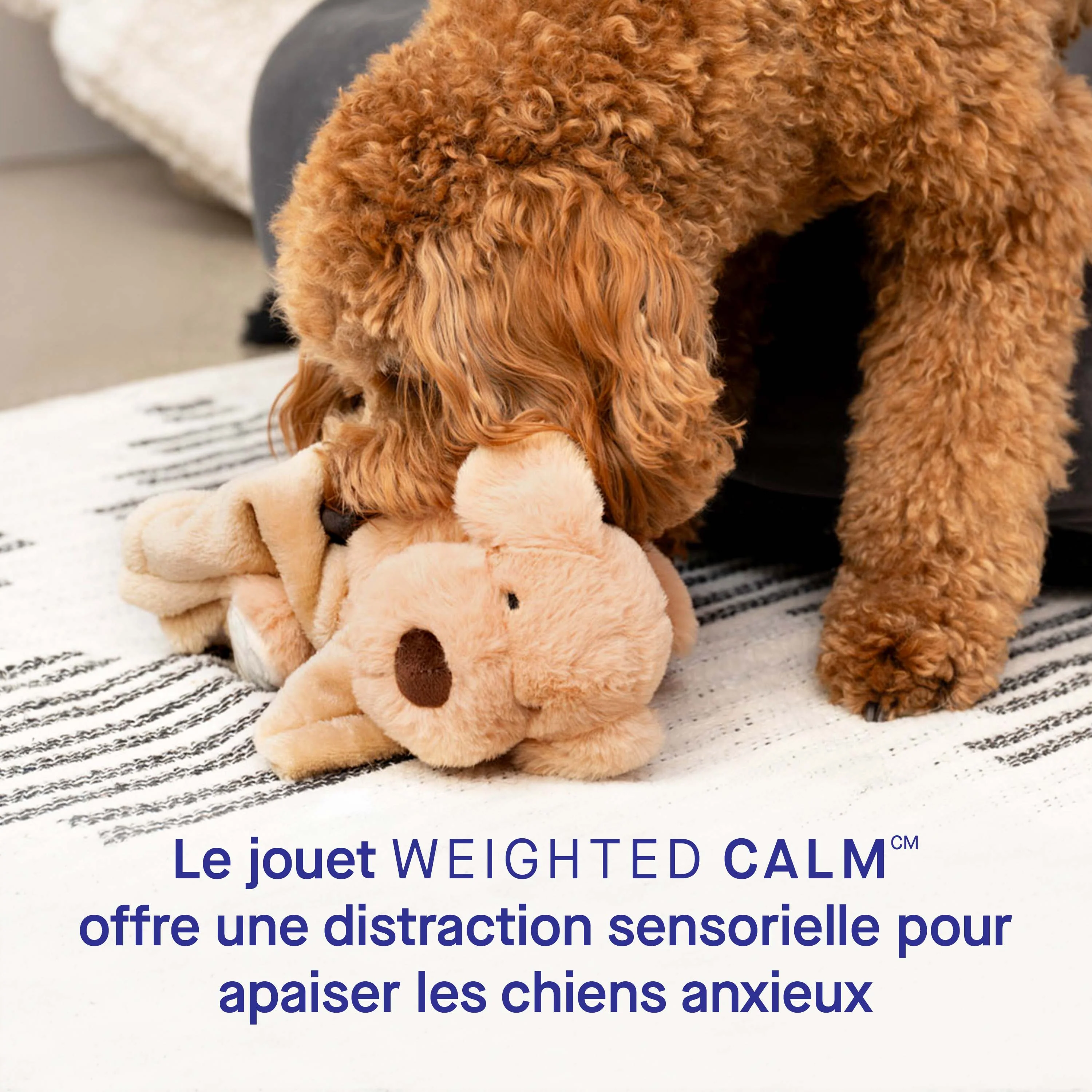Weighted Calming Toy - Image 16