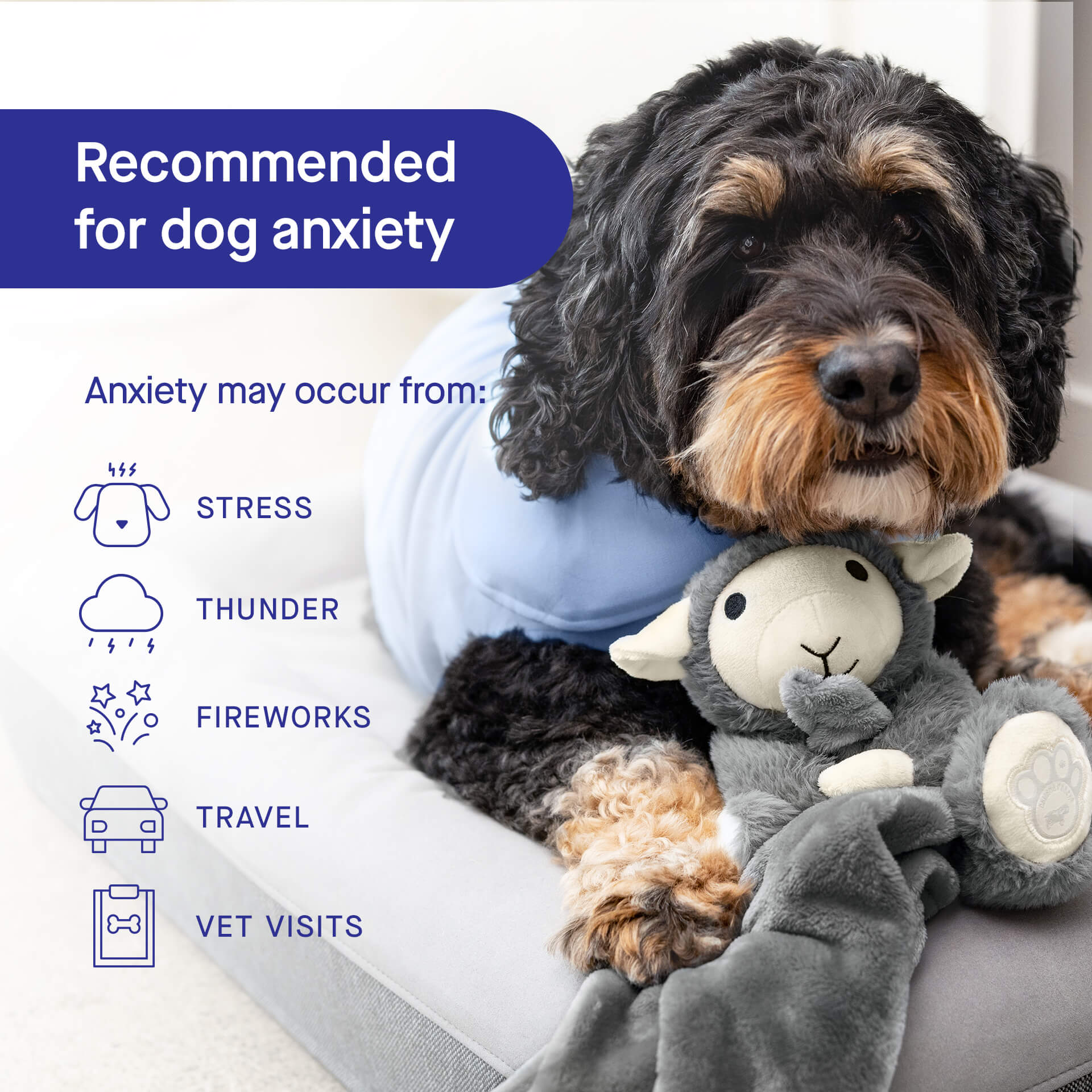 Weighted Calming Toy - Image 19