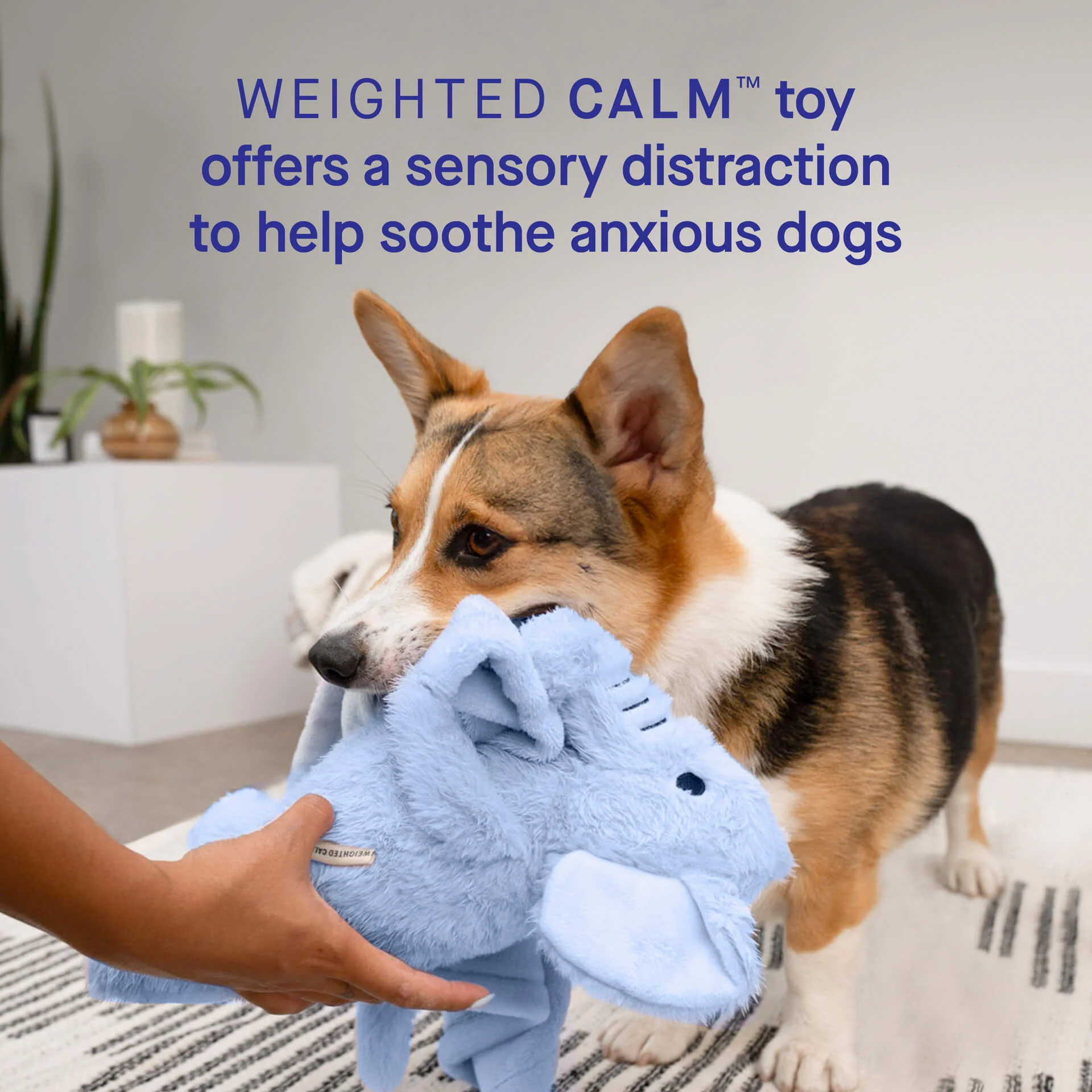 Weighted Calming Toy - Image 26