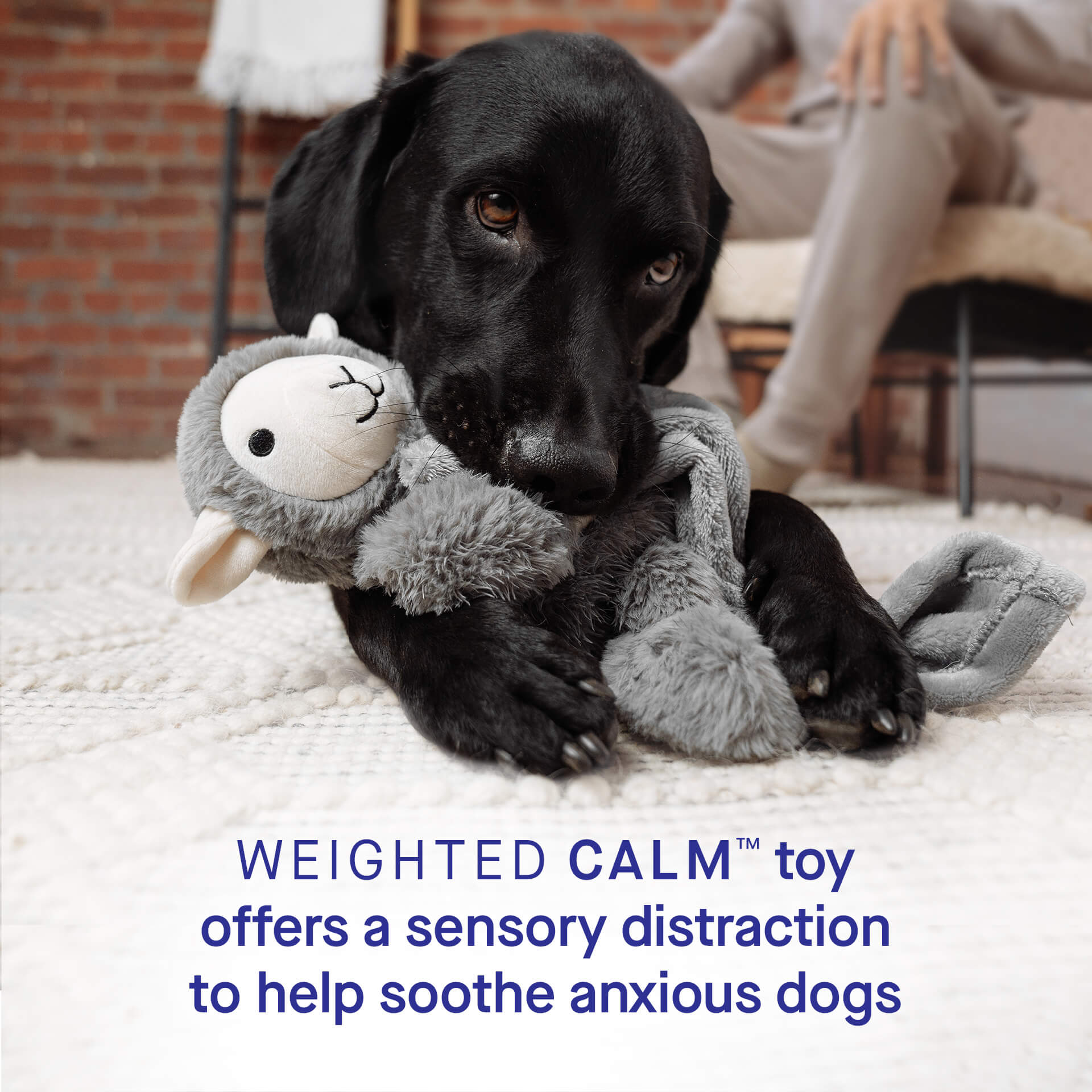 Weighted Calming Toy - Image 4